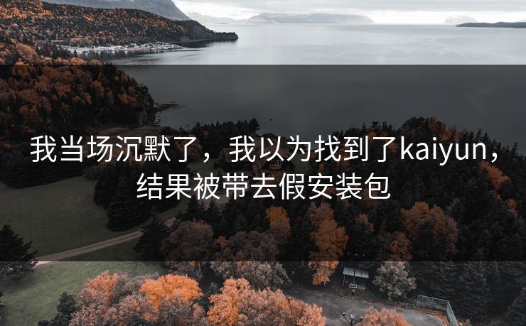 我当场沉默了,我以为找到了kaiyun,结果被带去假安装包 我当场沉默了,我以为找到了kaiyun,结果被带去假安装包