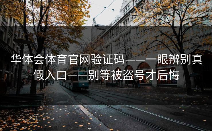 华体会体育官网验证码——一眼辨别真假入口——别等被盗号才后悔