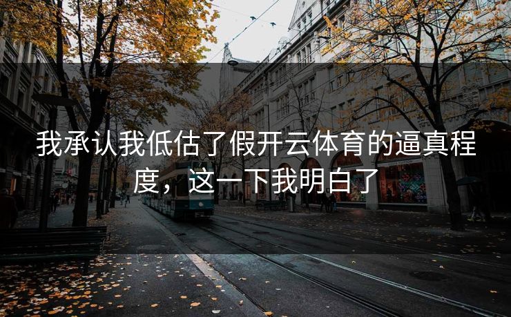 我承认我低估了假开云体育的逼真程度，这一下我明白了